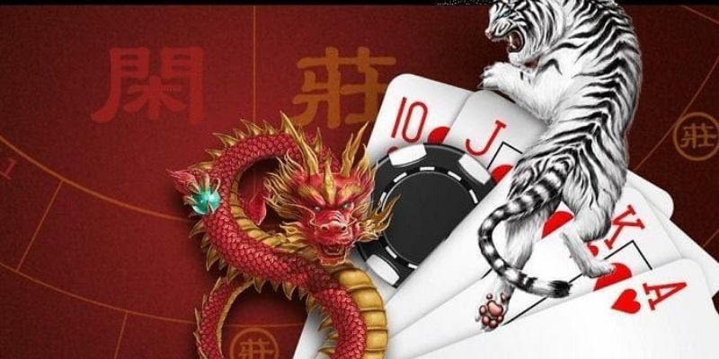 Cách soi cầu Rồng Hổ hiệu quả từ người chơi 8XBET